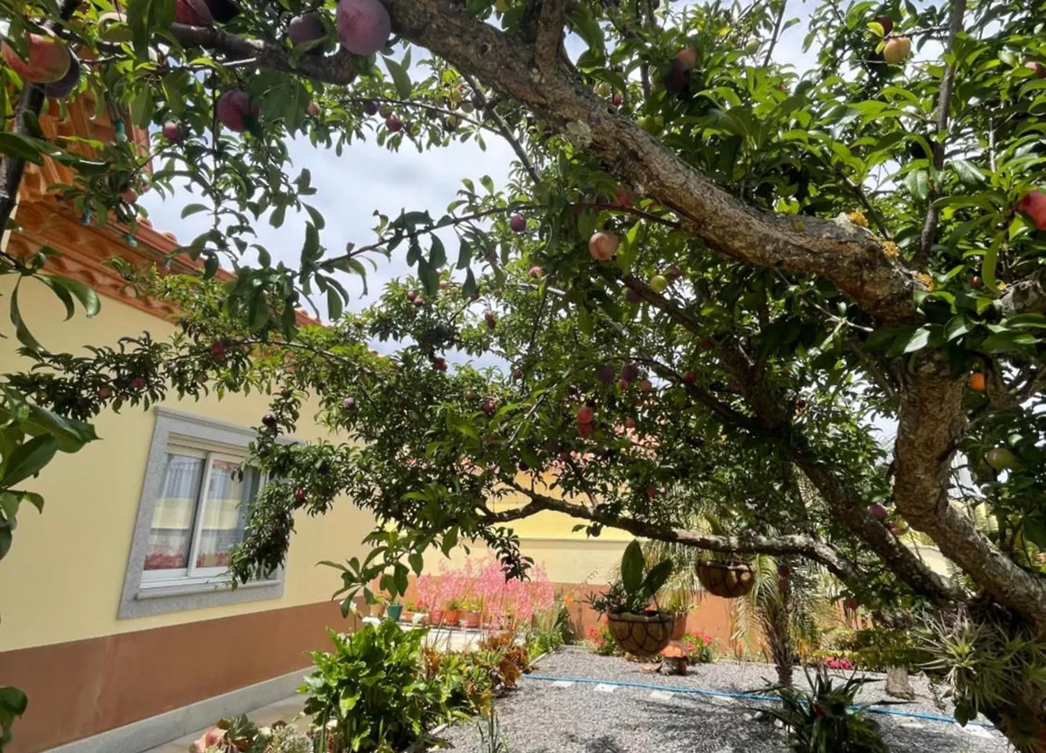 Hotel Belle Vue São Jorge 0*,